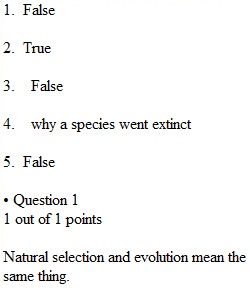 Chapter 13 Quiz